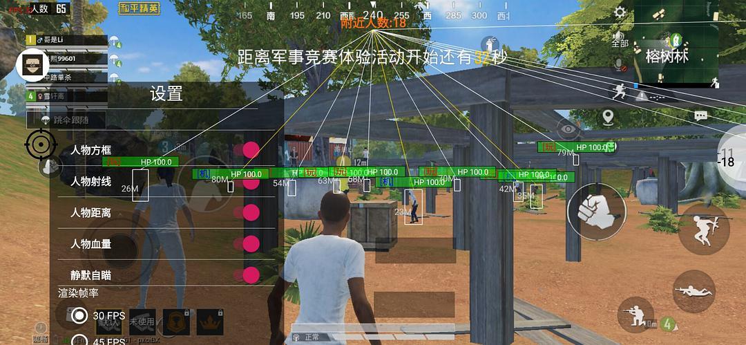 和平精英《牛牛》辅助